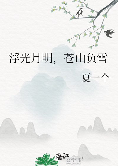 浮光月明，苍山负雪
