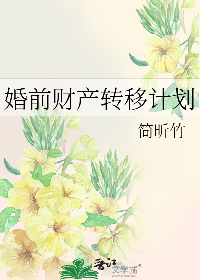 婚前财产转移计划