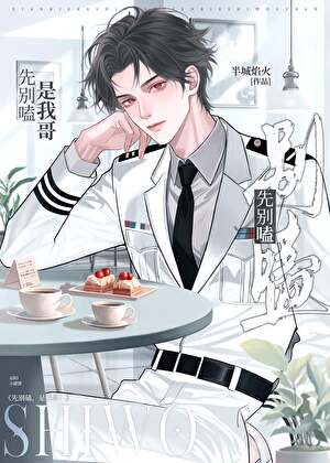 先别嗑，是我哥！[ABO]