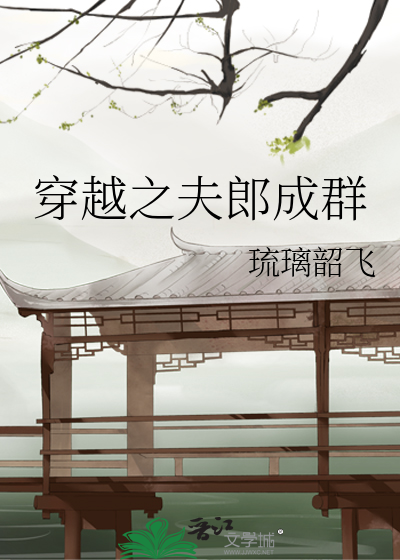 穿越之夫郎成群