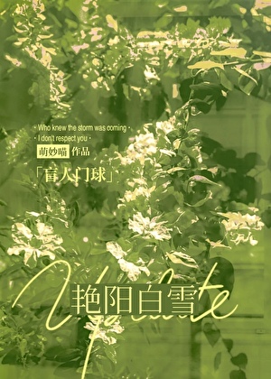 艳阳白雪[盲人门球]
