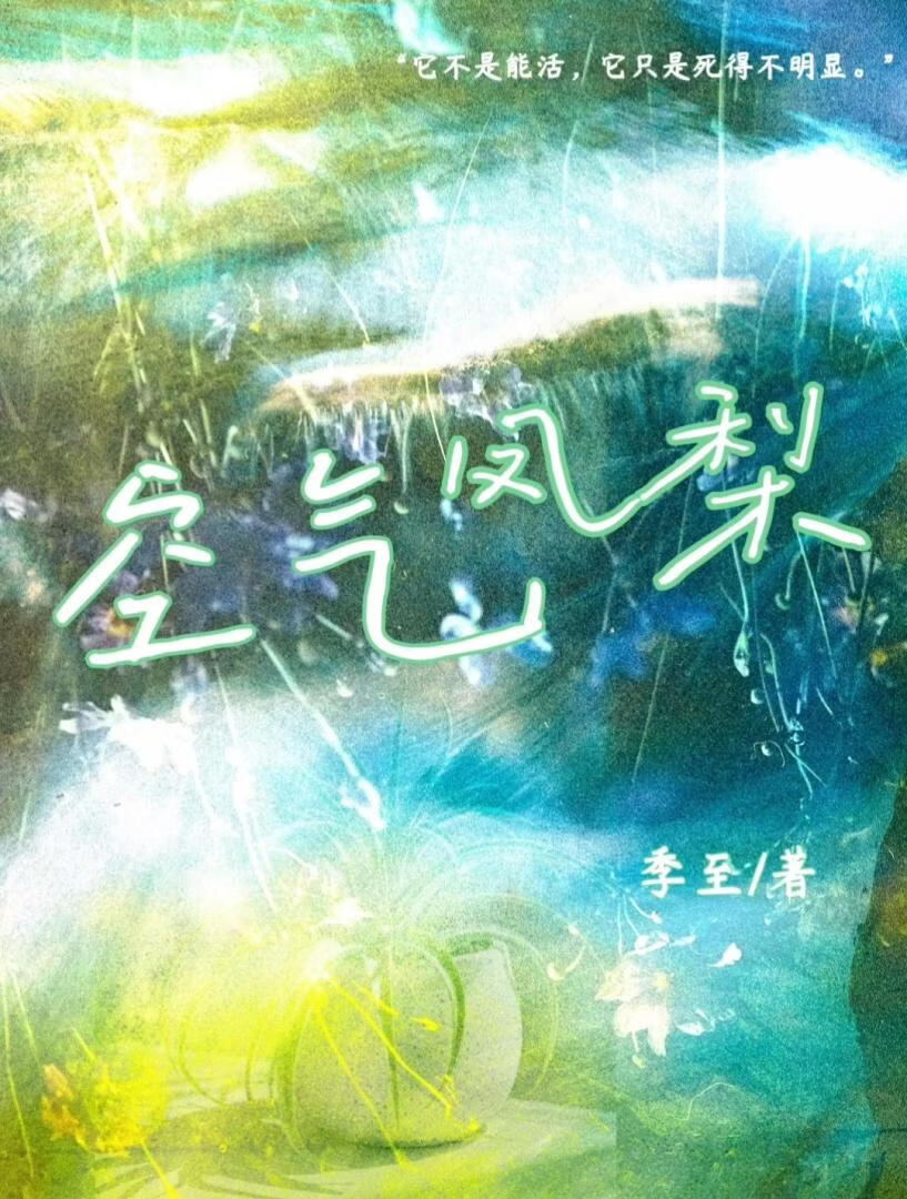 空气凤梨