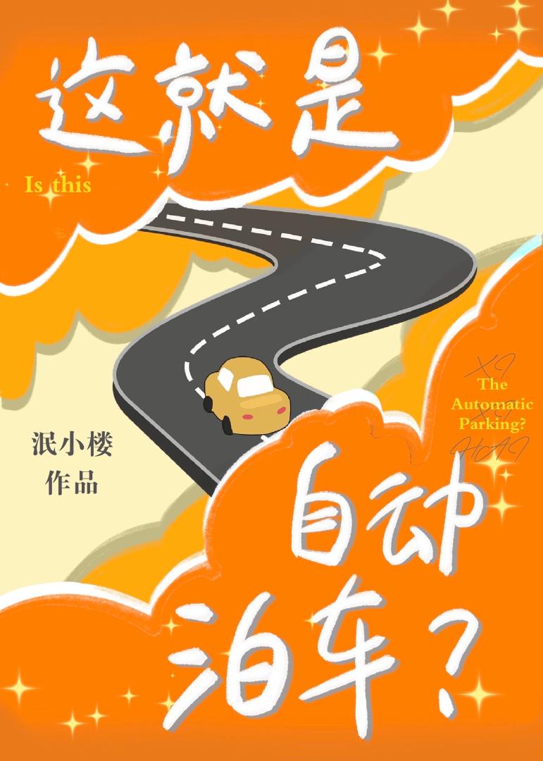 这就是自动泊车？