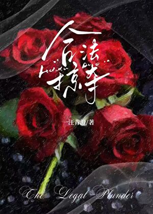 合法掠夺