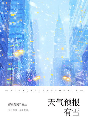 天气预报有雪