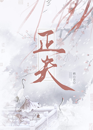 我不是正夫吗？
