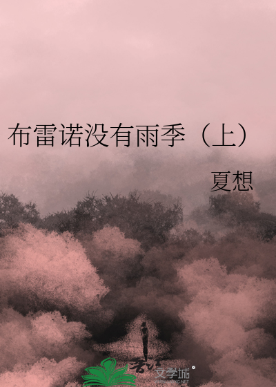布雷诺没有雨季（上）