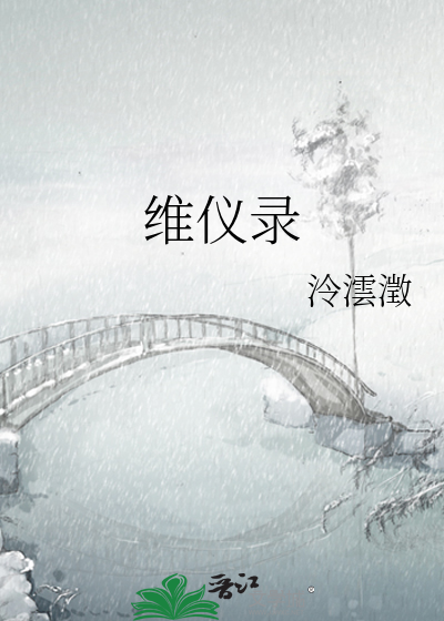 维仪录