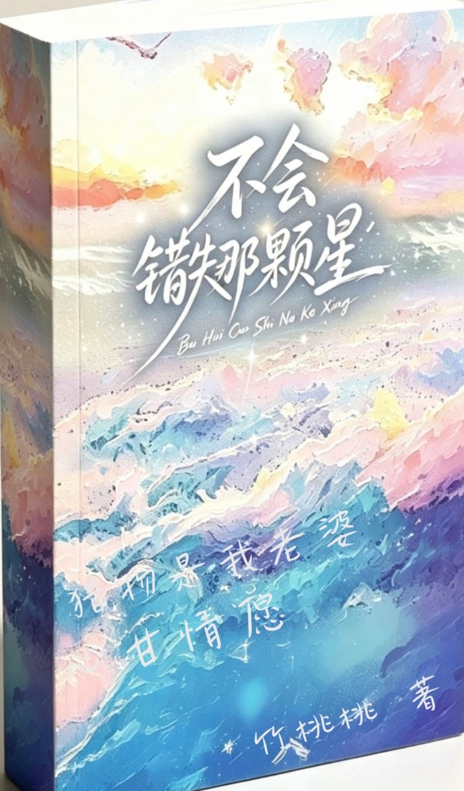 不会错失那颗星